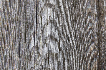 The wooden board, which under the influence of water and the sun's rays, become gray in color, the structure of the tree is visible on it.