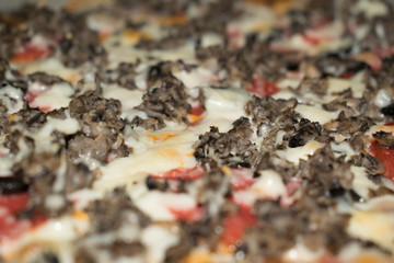 Pizza assorted meat mushrooms sausage cheese and olives for design background