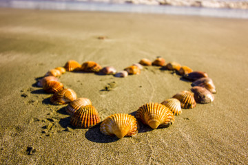 Heart full of shells on the sandy beach of Cyprus, coastline of the Mediterranean on a winter`s day. Love the Beach, love the summer, happy holidays 