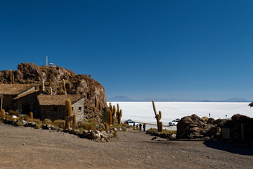 Isla de Pescado - wyspa na środku solnikska Salar de Uyuni - obrazy, fototapety, plakaty