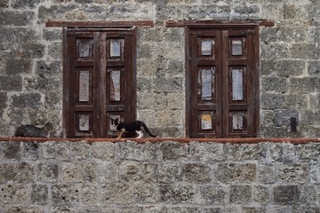 two old windows and two young cats Rhodes town Greece