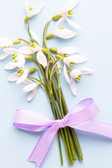 Fresh snowdrops on blue background with place for text. Spring greeting card. Mother day. Flat lay.