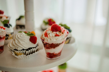 The bright cupcakes are laid out on the trays
