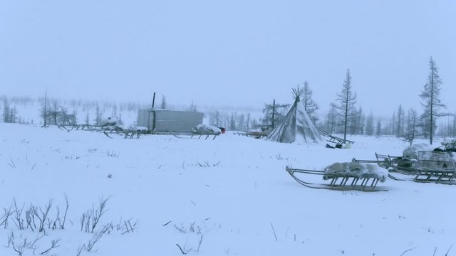 A village of reindeer herders