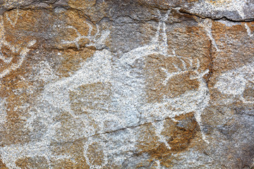 Rock paintings of ancient people. Image of ancient hunters with deer on the wall. ancient art,...