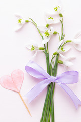 Fresh snowdrops on pink background with place for text. Spring greeting card.