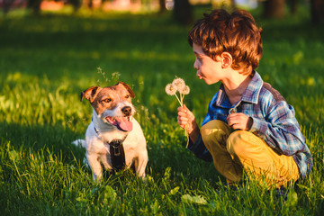 Naughty kid boy making bad joke blowing dandelions at dog