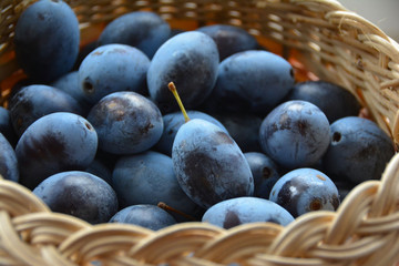 The basket full of plum fruits