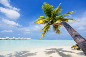 Ein tropischer Strand mit weißen Wasservillen auf den Malediven.
