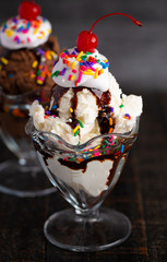 Chocolate and Vanilla Ice Cream Sundaes in Glass Bowls