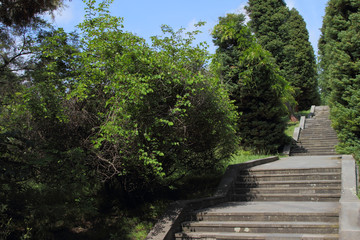 Beautiful old staircase.