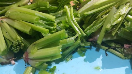 Obraz premium Close up view of lush green leaves base of spinach or paalak saag