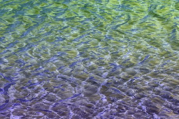 creative sparkling river water texture - beautiful abstract photo background