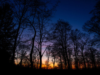 blue orange purple and yellow sunset in the woods in early spring
