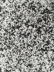 Snow on the ground