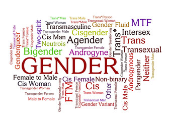 Gender Word Tag Cloud, shows words related to sex identification