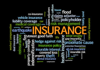 Insurance Word Tag Cloud words related to risk management