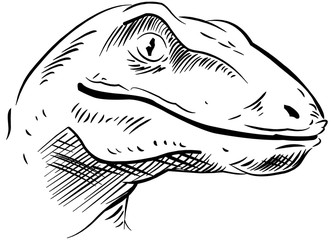 Black and white sketch of velociraptor head