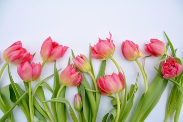  Frühling - Blumenstrauß Tulpe mit Herz