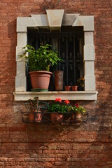 Fototapeta na wymiar Venetian Window with Flowers