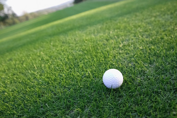 ゴルフボール　フェアウエー
