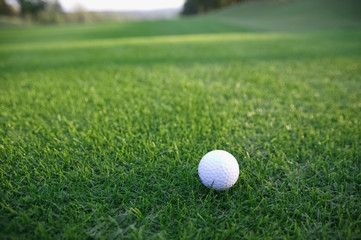 ゴルフボール　フェアウエー