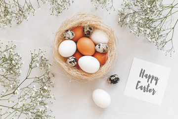 Nest with white and brown chicken eggs and quail eggs, gypsophila flowers,  card with greeting...