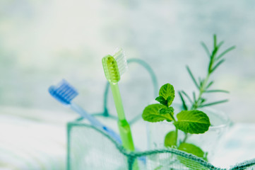 歯ブラシとハーブ © taiyosun