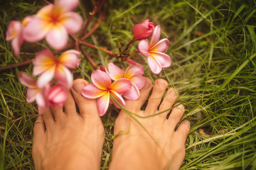 anned foots with tender pink frangipani flowers in green grass of tropical garden in Bali