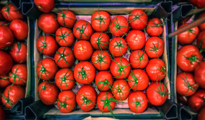 packed fresh tomatoes