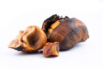 roasted chestnut