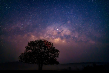 Naklejka na ściany i meble Milky Way Galaxy, Long exposure Photograph with grain. Star Study and Milky Way Astronomy at Thung kamang naturer park. Phu Khiao - Wildlife Sanctuary, Chaiyaphum, Thailand. Mar 3, 2019
