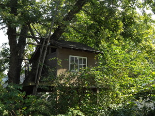 Fototapeta na wymiar old tree house