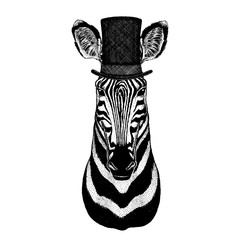 Wild animal wearing top hat, cylinder. Hipster zebra