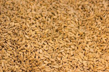 cleaned sunflower seeds cereals food texture background 