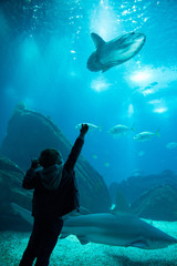 Kid watching the shoal of fish swimming in oceanarium. Fish moon.