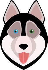  dog husky with different eyes
