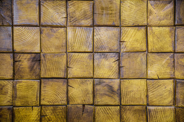 slices of the front of the tree,