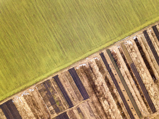 Agricultural landscape from air. Straight narrow ground road between sunny green, dry and brown plowed fields.