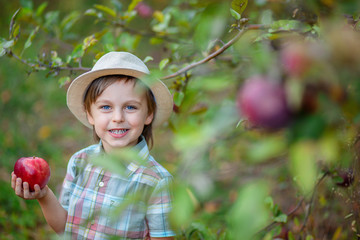 Portrait of a cute boy in the garden with a red apple.