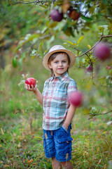 Portrait of a cute boy in the garden with a red apple.