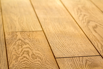 Natural light brown wooden parquet floor boards. Sunny soft yellow texture, copy space perspective background.