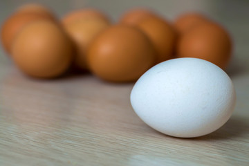 Big white egg and group of yellow eggs on kitchen table light background. Healthy organic food, delicious meal, cholesterol and diet concept.