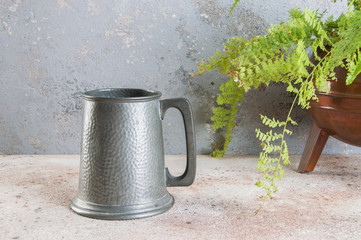 Vintage pewter beer mug and green plant