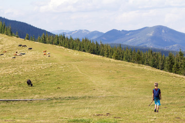 Young happy child boy with backpack walking in mountain grassy valley on background of summer woody mountain. Active lifestyle, adventure and weekend activity concept.