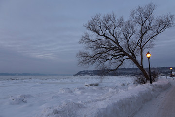 Blue hour morning winter view of a snow covered street and bare tree in silhouette along the frozen St. Lawrence river in the Cap-Rouge area of Quebec City, Quebec, Canada 