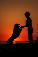 a girl is sitting outside in the grass, shaking hands with her German Shepherd dog, silhouetted against the sunsetting sky