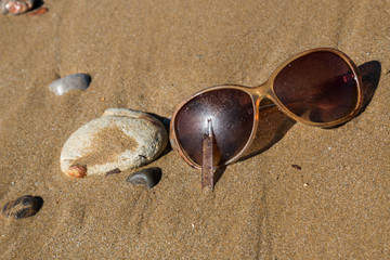 Fototapeta na wymiar Ecology: beach discoveries -brown ladies sunglasses