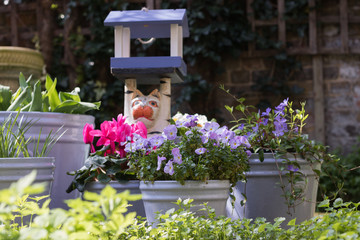 Fototapeta na wymiar View of Blossoming Flowers in Blue Pots in Garden on Sunny Day. Springtime. 