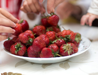 Sweet fresh strawberries on a plate on the table for, hands take and keep ripe red strawberries, a bunch of fresh strawberries in a ceramic bowl on a white table background